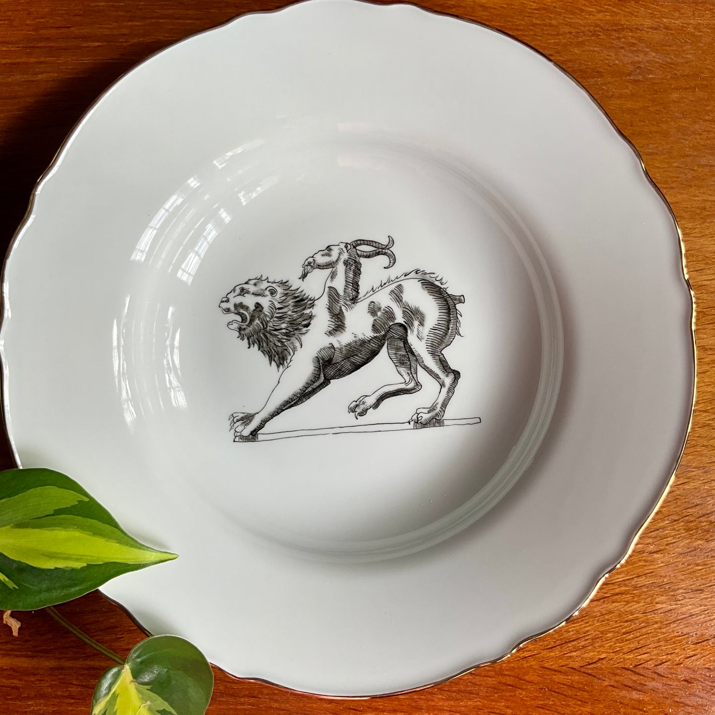 Piatto fondo “Monstrorum Historia” Chimera