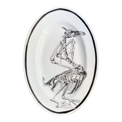 Vassoio "Monstrorum Historia" di Ulisse Aldrovandi - Scheletro Cormorano